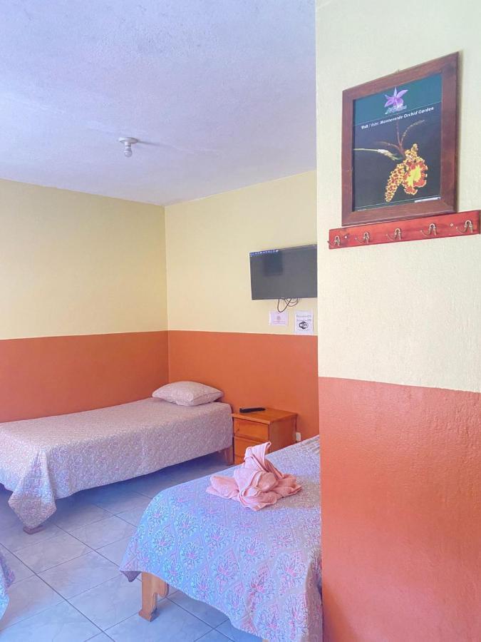 Hotel La Puesta Del Sol B&B Monteverde Екстер'єр фото